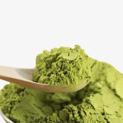 China Pincredit OEM/ODM Instant Matcha Powder Wholesale Tea Pure Good Quality Pure Matcha Powder Instant Matcha Powder for sale