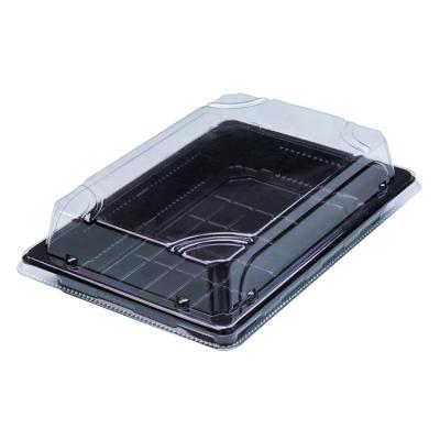 China Factory direct disposable plastic disposable sushi box with clear lid for sale