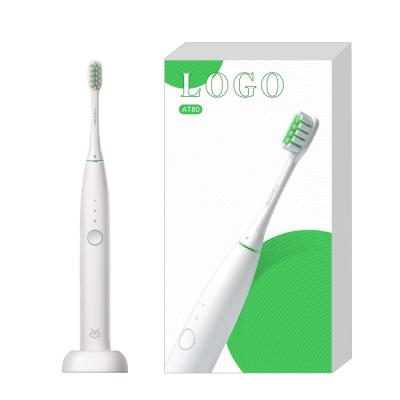 China Simple Design OEM ODM Design Using Sonic Electric Toothbrush Wholesaler For Teeth Care for sale