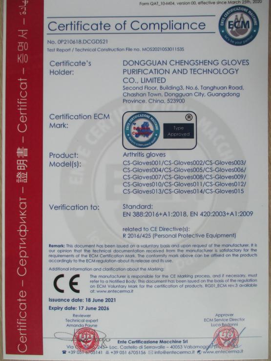 CE - Dongguan Chengsheng Gloves Purification Technology Co., Ltd.