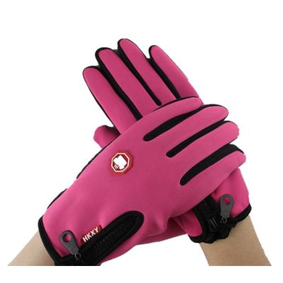 China Outdoor Sports Screen To Touch Anti Slip Gloves , Women Winter Warm Outdoor Sports Custom Color Hand Gloves for sale