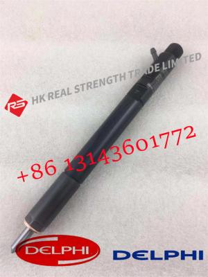 China Delphi Common Rail Fuel Injector EJBR04601D A6650170121 A6650170321 EJBR02601D Excavator For C9 Engine for sale