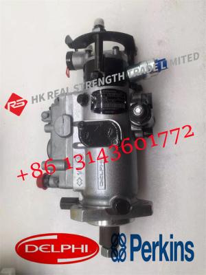 China Fuel Injection Common Rail Pump V3239F592T 2643b317 2643B317 V3230F572T For Delphi Perkins Excavator 1103A Engine for sale