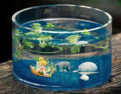 China hand blow glass terrarium glass fish tank Hydroponics container for sale