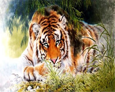 China Impressionist GZ662- 40*50 Full Mosaic Realistic Beauty Tiger Finding Food Diamond Painting Special Accessory Decorative Painting for sale