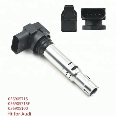 China Performance Ignition Coil Package Ignition Coil 036905715F 036905100 Standard Size High Quality 036905715 for sale