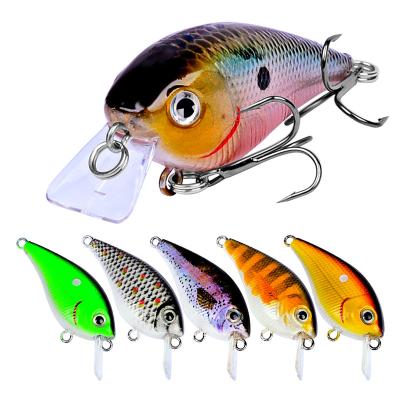 China Vivid Fish Action Swimming OEM 55mm 5g 6g Small Fishing-Lure Crankbait Catching Fish Lures Triple Hook Topwater Crank Bait Lure for sale