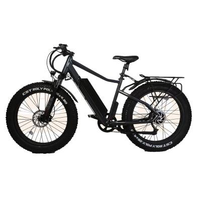 China Aluminum Alloy Cheap Price China Electric Bike 36v250w Mountain / Electric Snow Bike For Men And Women for sale