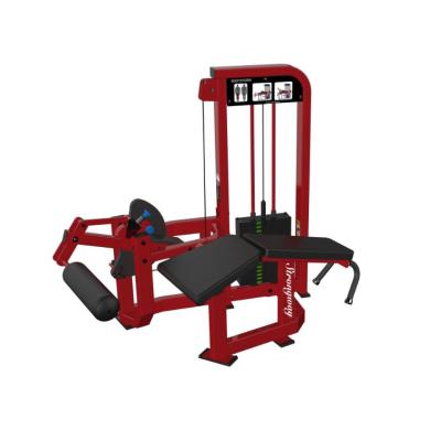 China Commercial Power Best Selling Machine Pin Loaded Machine /gym Equipment Wholesale Prone Use Leg Buckle for sale