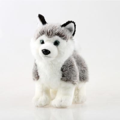 China Factory Supplier Free Sample Dogs Soft Toys Eco - Friendly Plush for sale