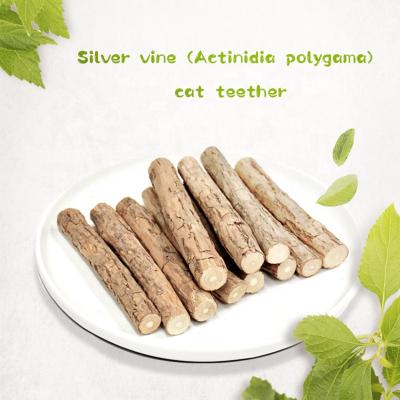 China Silver Vine Actinidia Polygama Cat Teether Cat Stocked Teeth Grinding Chewing Toy Safe and Natural with Nice Flavor 5 Sticks Pack for sale