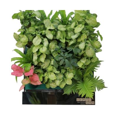 China CLASSIC Popular Hot Selling Nursery Outdoor Vertical Green Plastic Pot Wall Plastic Flower Pot for sale