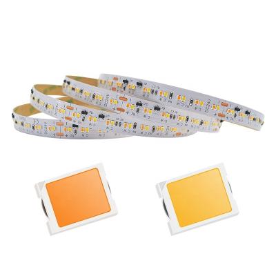 China LANDSCAPE Smart Led Light Dim To Warm CCT LED Strips SMD2216 Pro Double Color LED White Light Strip Light For Bedroom for sale