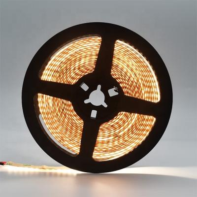 China Indoor and Outdoor DC24V 210leds CRI90 LED Strip Lights High Efficiency SMD2835 LED Lighting Strip for Indoor Outdoor Decoration for sale