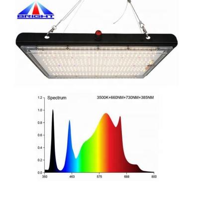 China UV FLOWER LM301B LM301H IR Plant Grow Light LM301H EVO Plant Grow Lamp For Vertical Agriculture for sale