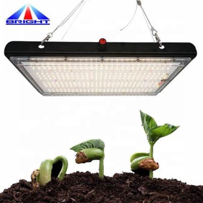 China Seed Starting Vertical Waterproof Agriculture Grow Lighting Full Spectrum LM301H LM301B LED Plant Growth Lights 5 Years Warranty for sale