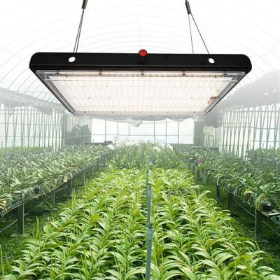 China Seed Starting Growing Lights LM301H/301B 660nm Mixed 730nm 385nm UV 450nm Waterproof Plant Led Green Board Tent Lamp for sale