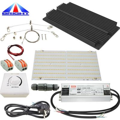 China Newest hotel LM301b LM301h 3500k 120W 240W 480W led grow light with led board for indoor lm561c lm561h for sale