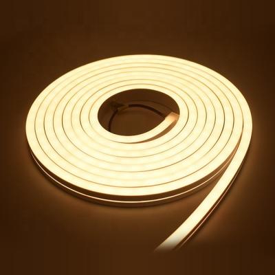 China Indoor or Outdoor Neon Light SMD2835 Strip Color Red Green Blue Neon Signs For Bedroom for sale