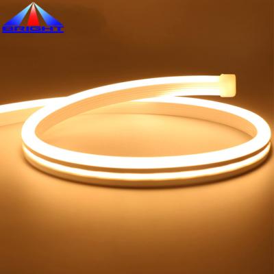 China Indoor Magic Variety Of Color Shapes Flexible Neon Led Strip Light For Sign Decoration for sale