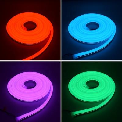 China Waterproof Led Rope Light SMD5050 RGB Custom Neon Sign Strip Light Indoor And Outdoor DC12V Neon Light For Game Room Decoration for sale