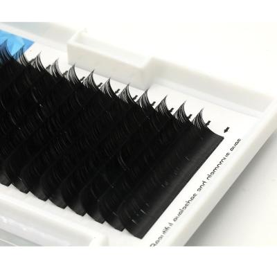 China super slim & Strip Siberian Mink Eyelash Extensions Eyelash Blooming Eazy Soft Fan 3d Extension for sale