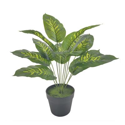 China Eco-friendly Natural Touch Leaf Indoor And Outdoor Green Artificial Bonsai Leaves Decorative Plastic Tree Plants for sale