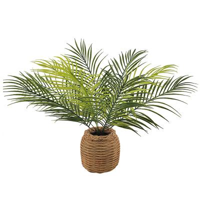 China Eco-friendly Artificial Palm Bonsai Home Office Decor Indoor Plants Plant Decorative Palm From Madagascar for sale