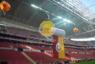 China El cilindro inflable modificado para requisitos particulares de la publicidad imprimió los globos del helio para el día de la celebración en venta