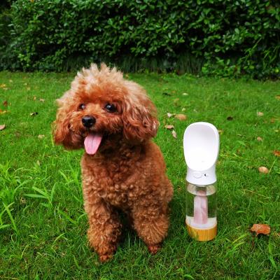 China Viable Travel High Borosilicate Healing Crystal Drinking Pet Dog Water Portable Outdoor Glass Bottle for sale