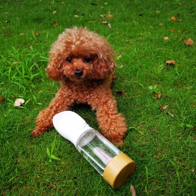 China Viable Travel High Borosilicate Healing Crystal Drinking Pet Dog Water Portable Outdoor Glass Bottle for sale