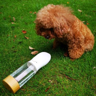 China Automatic Travel Pet Outdoor Portable Water Bottle Healing Crystal Drinking Crystal Portable Pet Water Bottle for sale