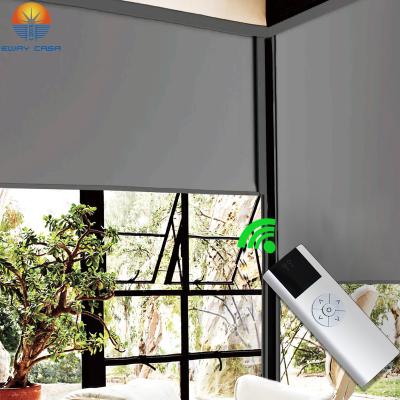 China EWAY Roller Shade Blackout Waterproof HOME Motorized Windproof Outdoor Electric Window Blinds Cordless Sunscreen Shade JS-ORB-MC for sale