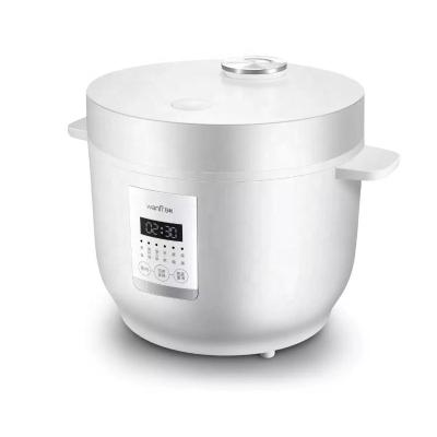 China 2022 Multiple Function Family Use 2.8L Bowl Form Electric Universal Smart Rice Cookers for sale