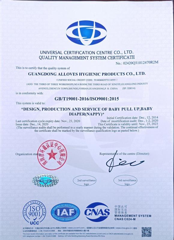 ISO9001 - Guangdong Alloves Hygienic Products Co., Ltd.