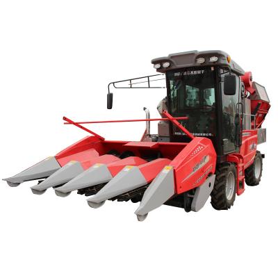 China Maize Plant Supply KLAAS Brand 4 Rows Maize Combine Harvester Maize Harvester for sale