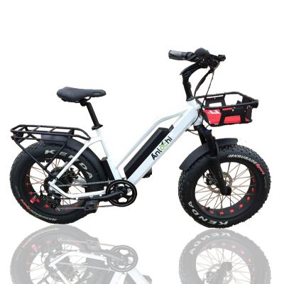 China ANLOCHI 2021 High Performance Aluminum Alloy Fat Bike 48v 20inch Electric Bike E-Bike Snow Motor 250w Tire For Sale for sale