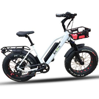 China ANLOCHI 2021 New Model Aluminum Alloy Snow Top Electric Bike Beach Powerful Chinese Electric Bike 20inch Fat Tire for sale