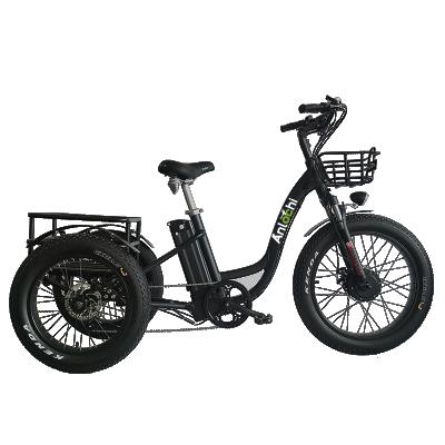 China Delivery 48V 3 Wheel Aluminum Alloy ANLOCHI Adult Electric Bike Tricycles Fat Fat Ebike Fast Electric Bicycle for sale