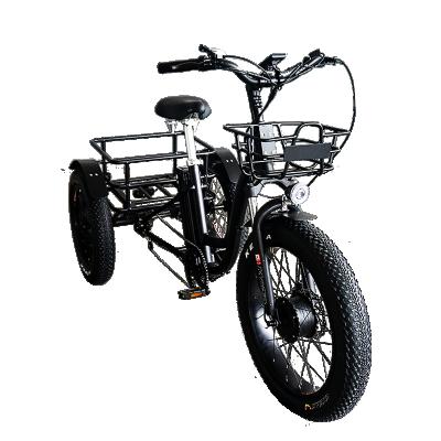 China ANLOCHI Aluminum Alloy Price-High Powerful Good Tire Electric Drift Tricycle 48V 500W 24inch Fat For Long Ringed Cargo for sale