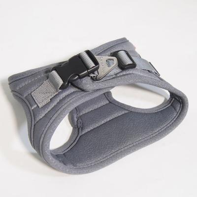 China Wholesale Gray Fashion Pet Logo Trunk Strap Viable Customizable Dog and Cat Leash for sale