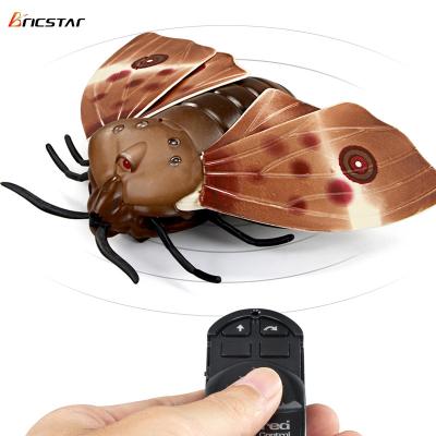 China Funny Animal Toy Infrared Remote Control Bricstar Eco-friendly Material Simulates Moths Flying Insect Plastic Toy Model for sale