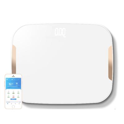 China Sell ​​Big Size Power Business BL-3002 Shopee Smart Personal Body Fat LED USB Scale for sale