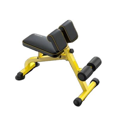 China Universal Adjustable Folding Back Extension Multifunctional Roman Chair Home gym Fitness Equipment Sit up Dumbbell Preacher Curls bench for sale