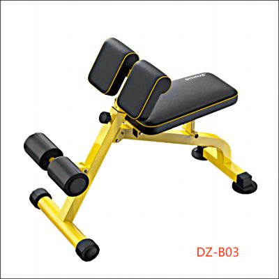 China Universal Back Extension Multifunctional Weight bench Home gym Fitness Equipment Sit up Adjustable Folding Dumbbell Preacher Curls bench for sale