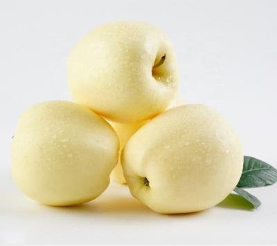 China fresh chinese golden delicious apple for mexico market for sale