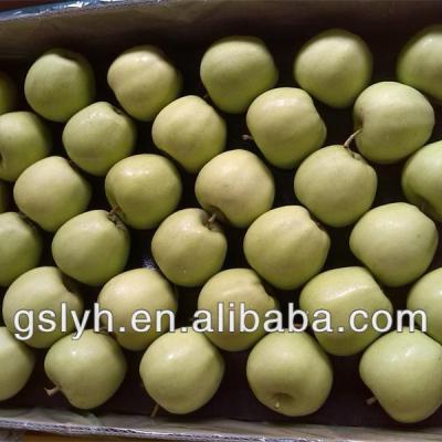 China Fresh Golden Fresh Delicious Apple for sale