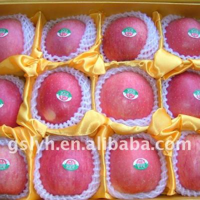 China Fresh Fuji apple produced in Jingning, Gansu for sale