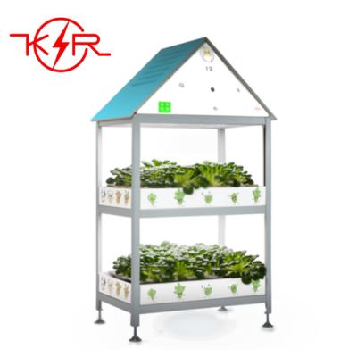 China food & Beverage Shops Indoor Hydroponics Vegetable Growing Greenhouse Plant Agricultural System for sale