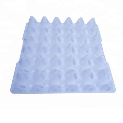 China 29005 Plastic Plastic Egg Tray Plastic Mold Injection for sale